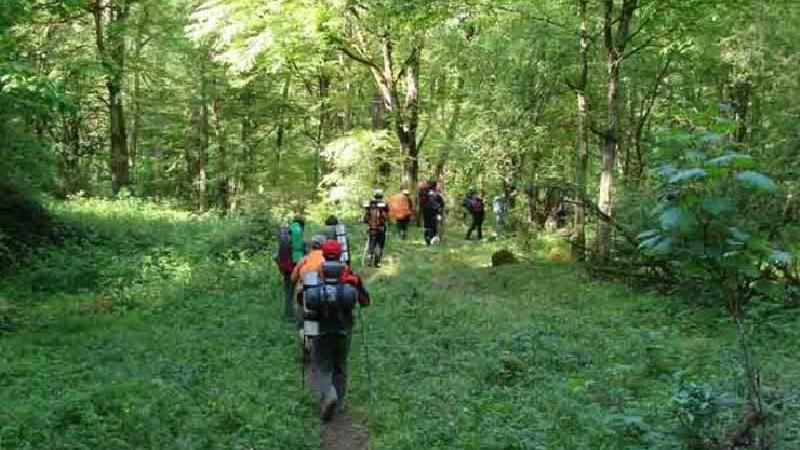 پیاده روی در هیرکانی 