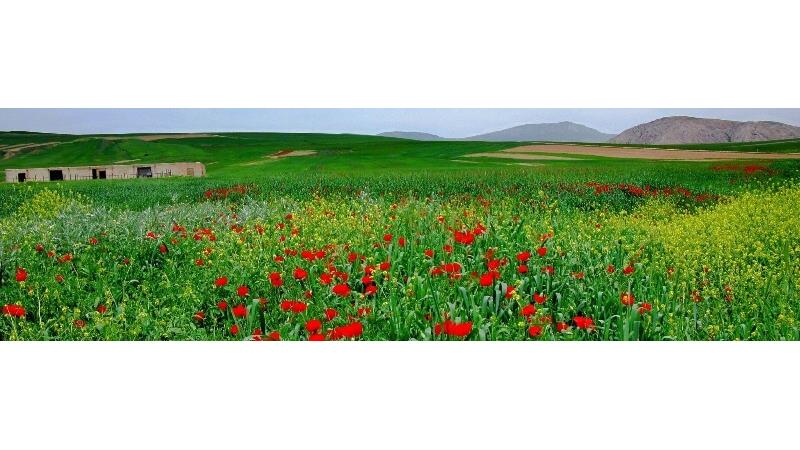 سفر به دشت کالپوش