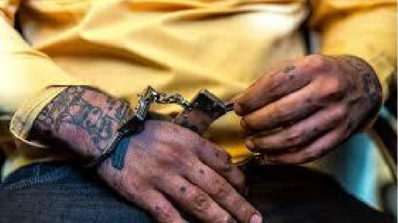 قصاص برای قاتل وحید مرادی