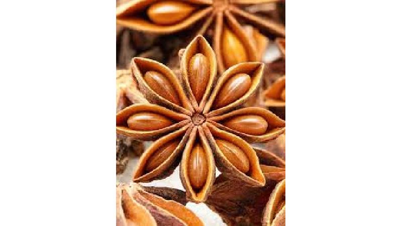 انیسون چیست