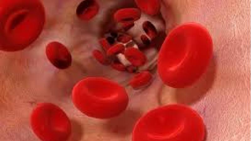 تری گلیسرید چیست