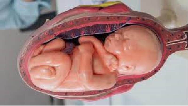 عوارض جفت قدامی