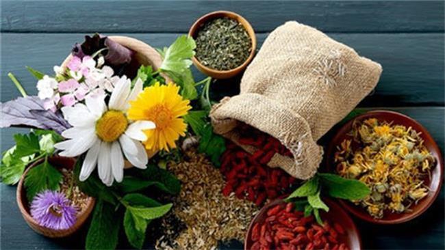 گیاهان دارویی