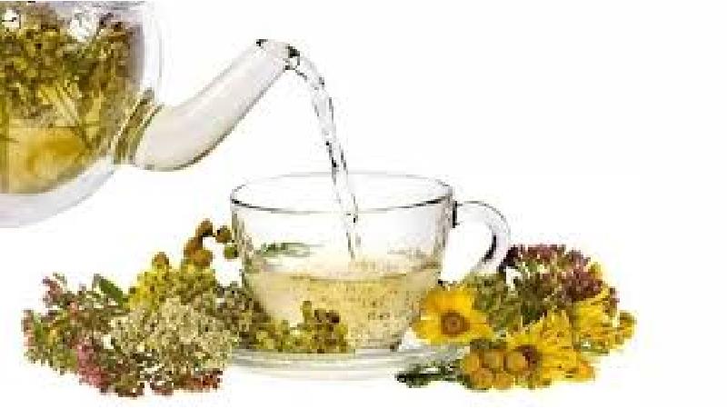 دم نوش گل ختمی
