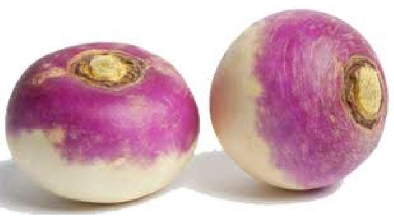 شلغم