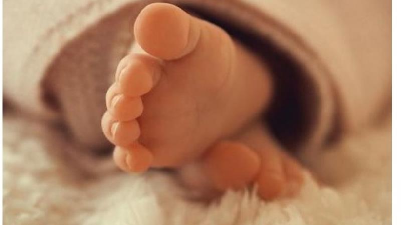فرزند الهام حمیدی
