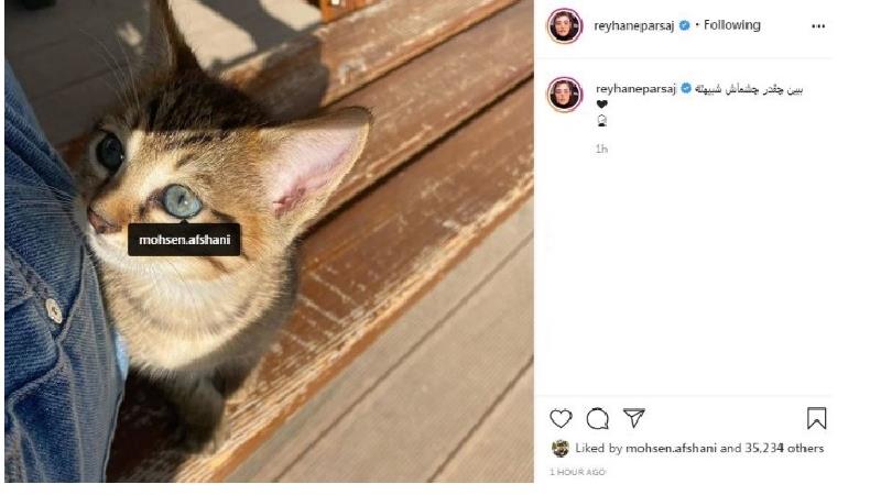 پست ریحانه پارسا درباره محسن افشانی