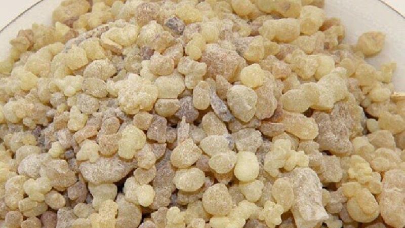 خواص گیاه کندر