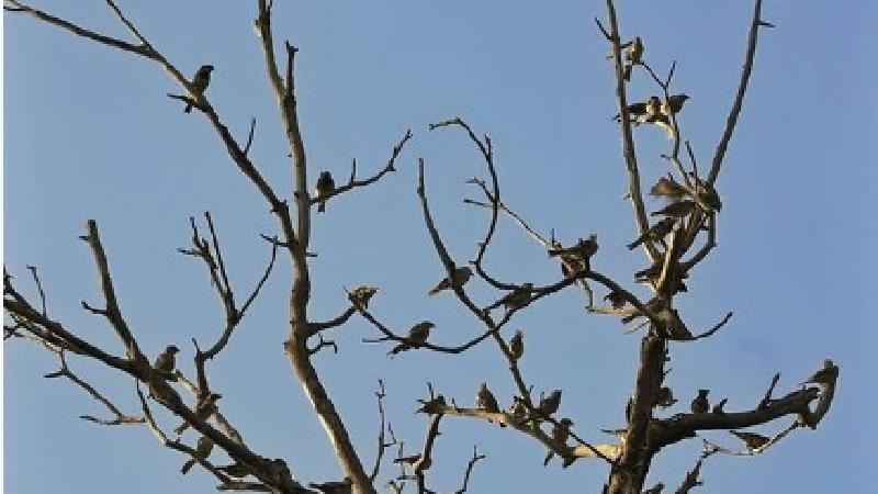 واکنش مهدی پاکدل به خبر ازدواجش