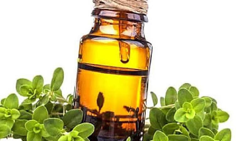 روغن مرزنجوش