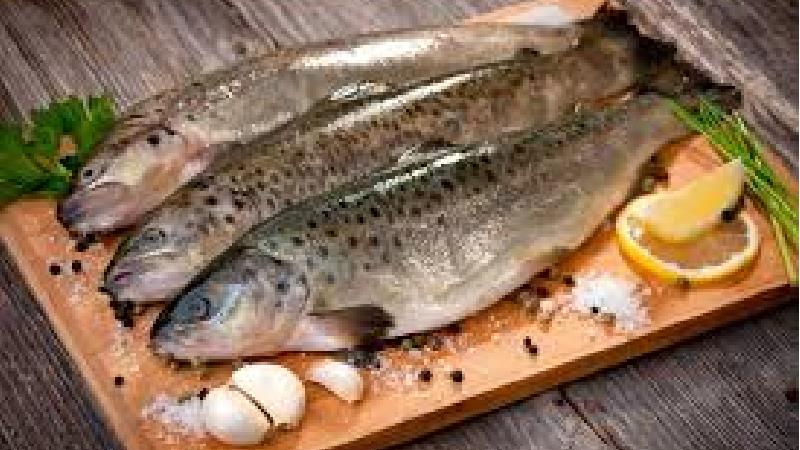 روش سرخ کردن ماهی غزل آلا
