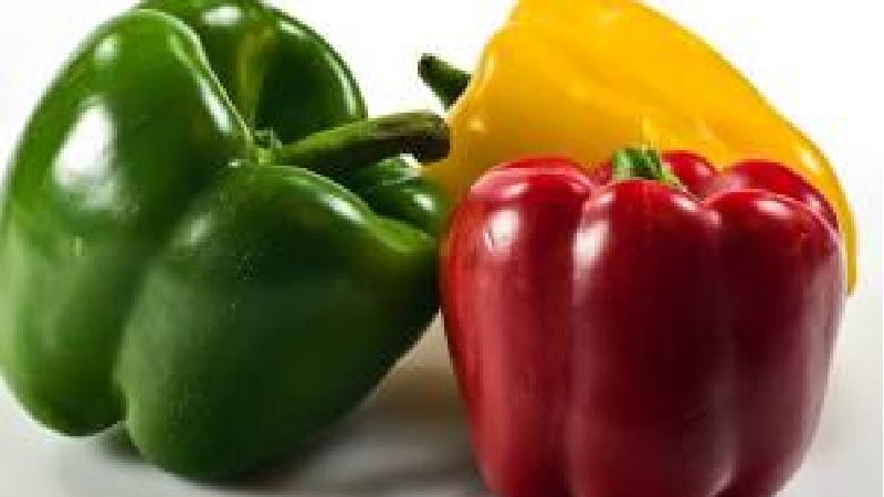 فلفل دلمه ای