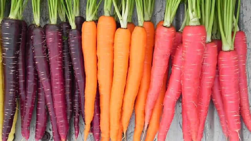 هویج برای زخم معده