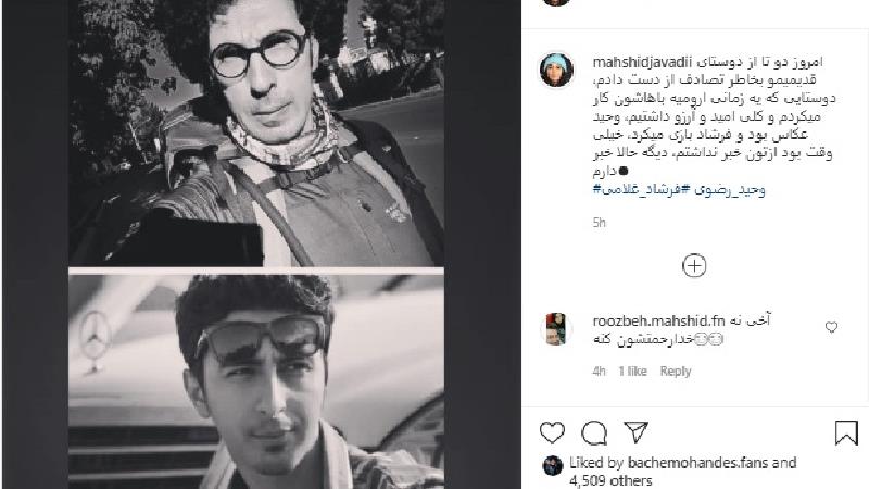 مهشید جوادی داغدار شد