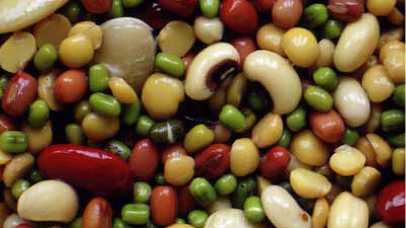 فریز کردن حبوبات