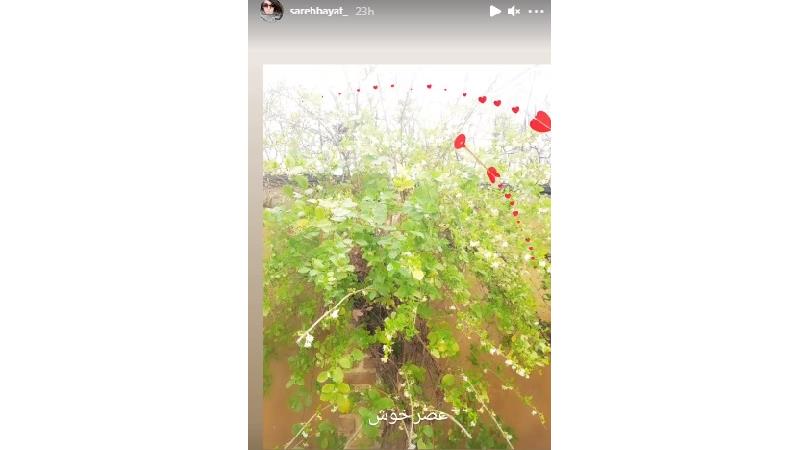 همسر ساره بیات