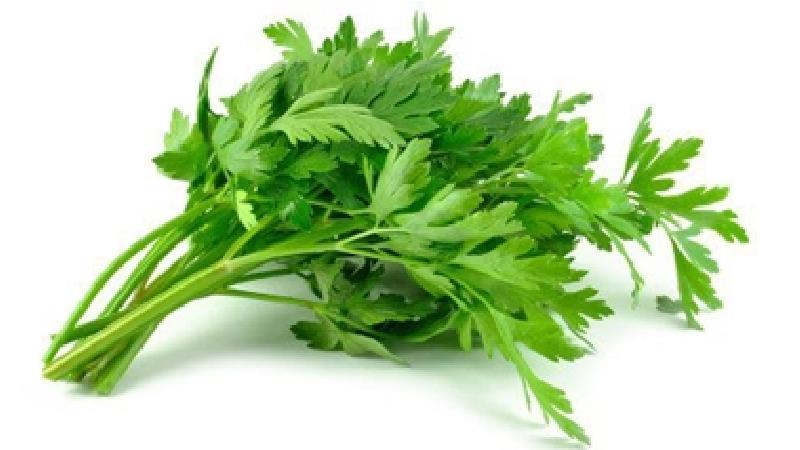 خواص جعفری برای کلیه