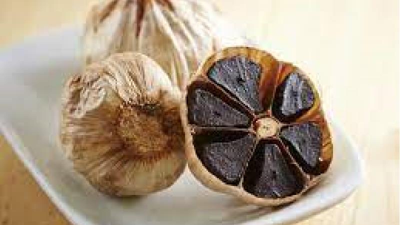 سیر سیاه از کجا بخریم