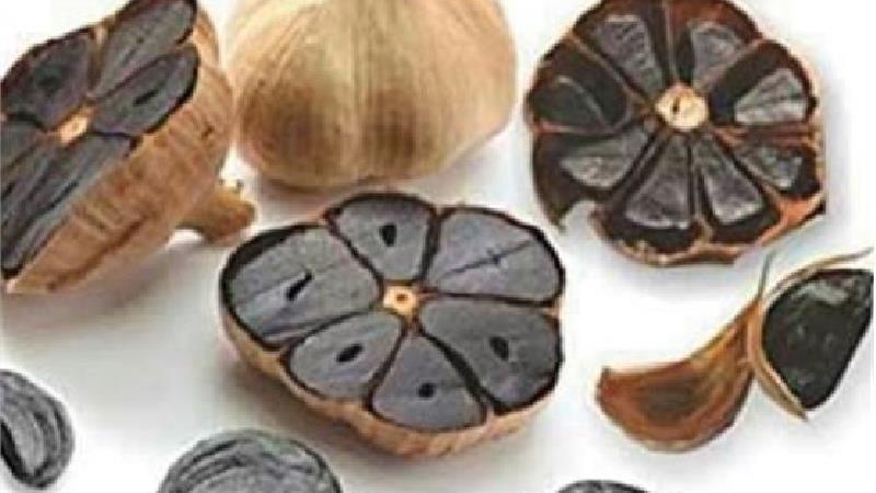 خواص سیر سیاه