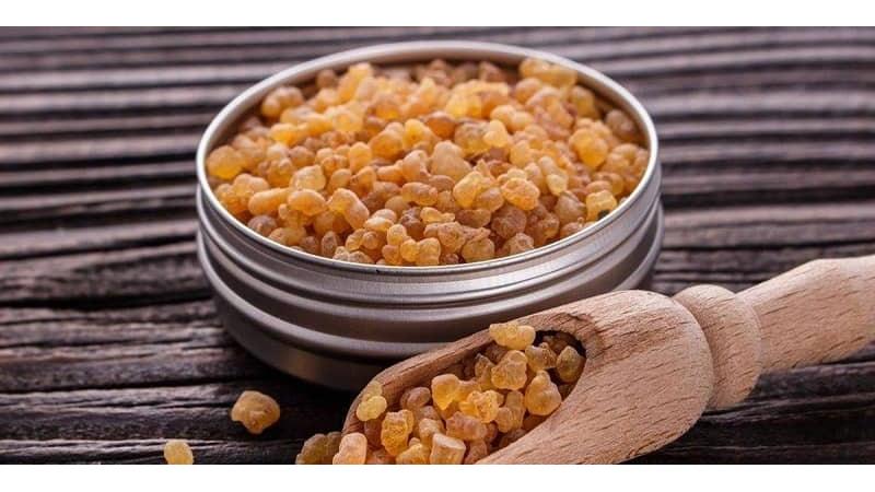 عوارض کندر برای بارداری