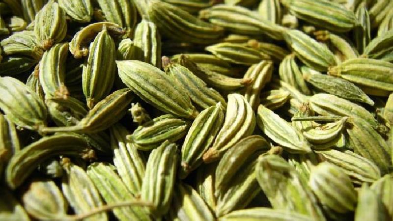 خواص زیره سبز برای رحم