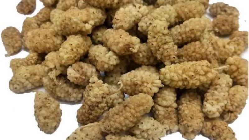 خشک کردن توت سفید