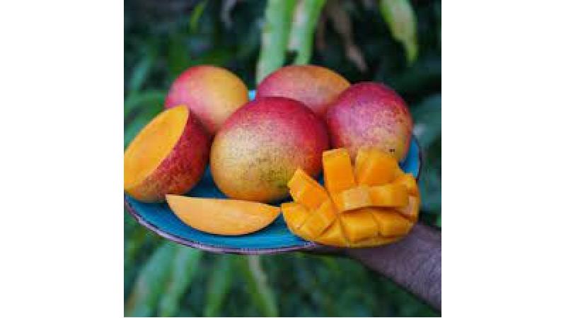 انبه برای مردان