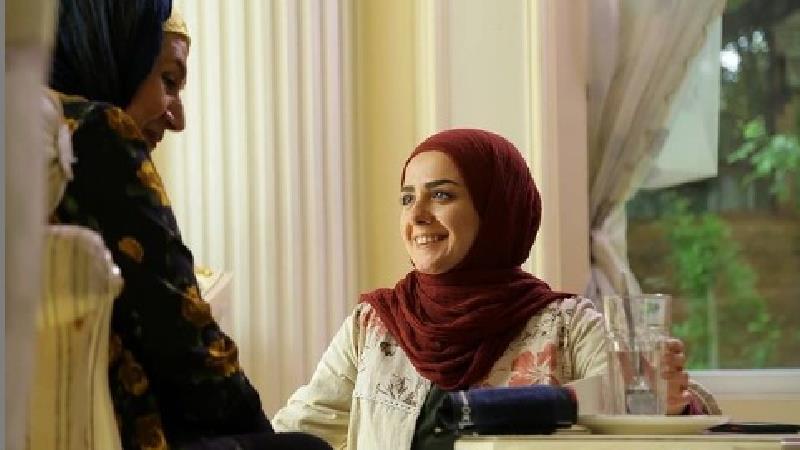 سریال در کنار پروانه ها چند قسمت است