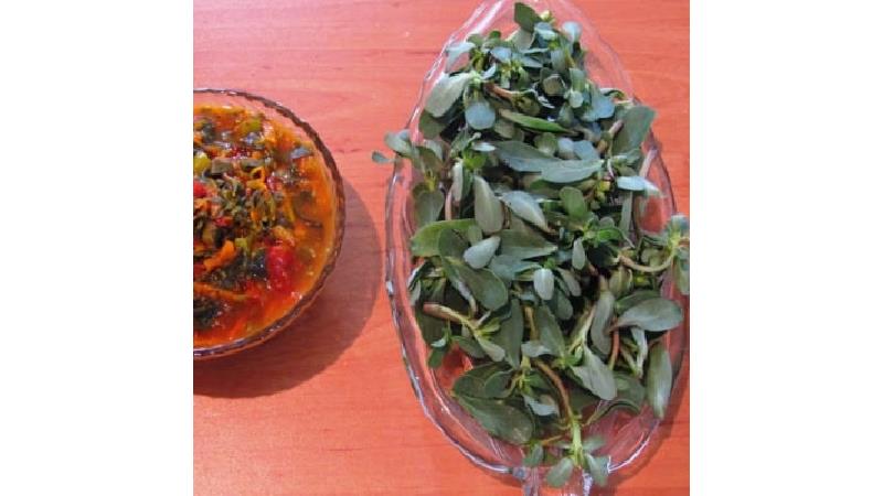 طرز تهیه ترشی خرفه بسیار خوشمزه