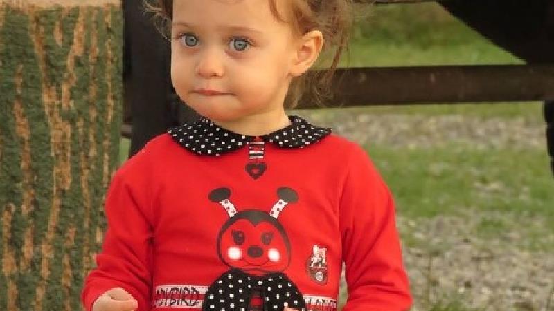 ساحل بکرانی در سریال دردسرهای عظیم