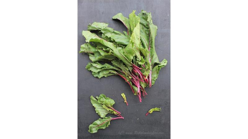 مضرات برگ چغندر