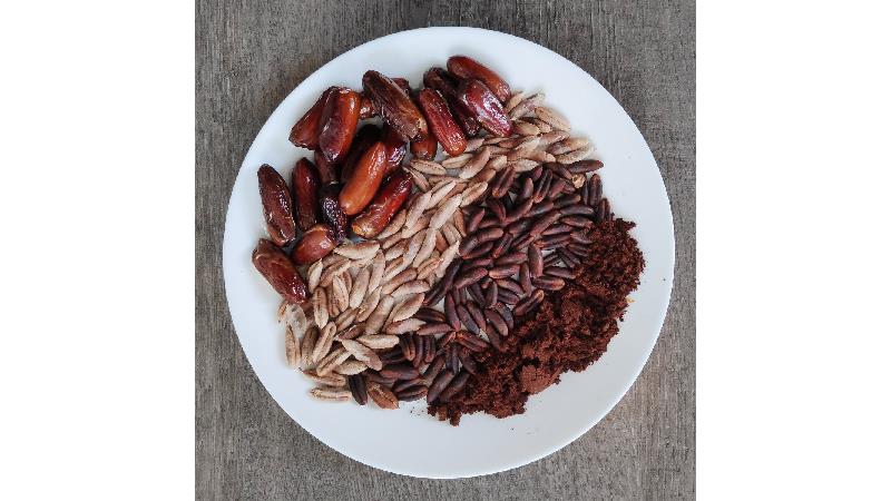 فواید قهوه هسته خرما