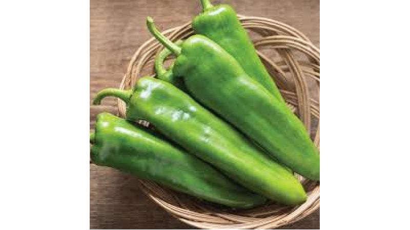 فلفل سبز شیرین