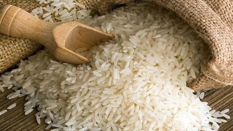 ترفند نگهداری برنج