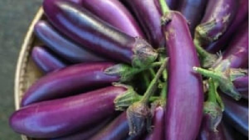 گرفتن تلخی بادمجان 