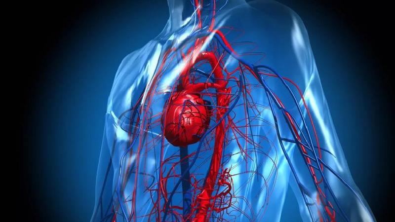 بیماری قلبی 