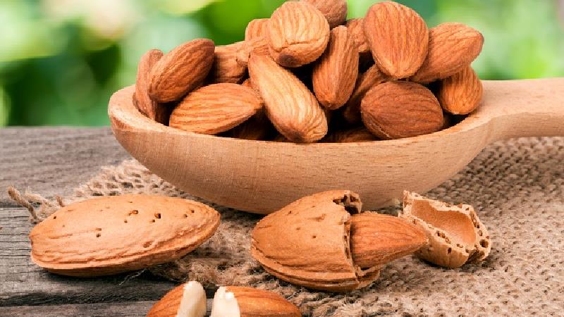 خواص بادام تلخ