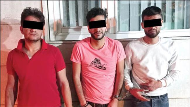 نخبه دانشگاهی ذئیس باند سرقت شد 